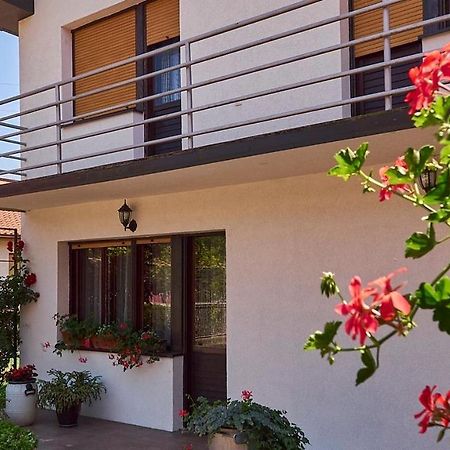 Villa Milica Banja Koviljača Exterior foto